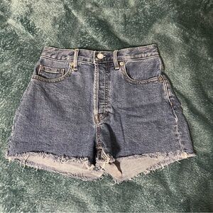 Everlane High Waist Denim Blue Shorts